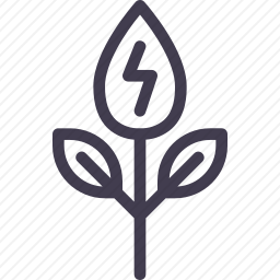 <em>植物</em>