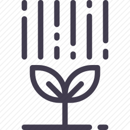 雨