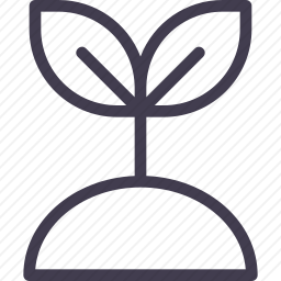 萌芽
