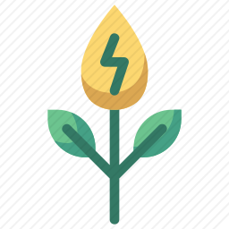 <em>植物</em>