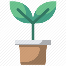 盆栽植物