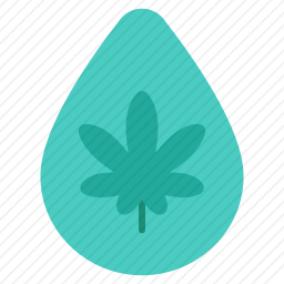 大麻油
