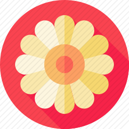 洋甘菊