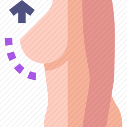 乳房固定术