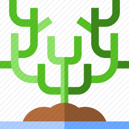 海藻
