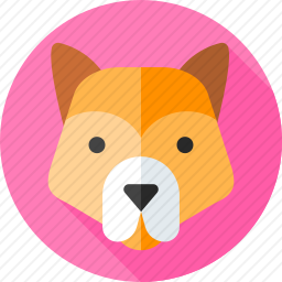 秋田犬