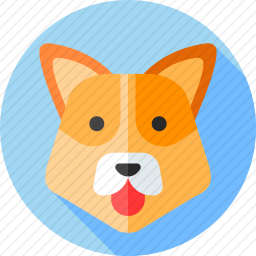 科基犬