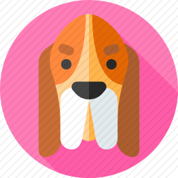 巴吉度猎犬