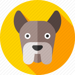 法国斗牛犬
