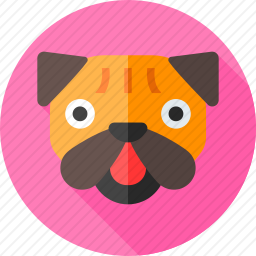 巴哥犬