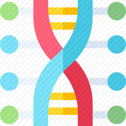 DNA