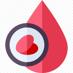 <em>贫血</em>