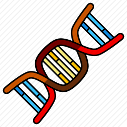 DNA
