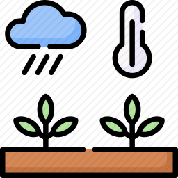 天气