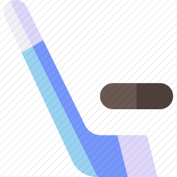 <em>曲棍球</em>