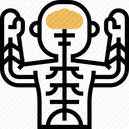 <em>神经</em>