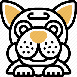 斗牛犬