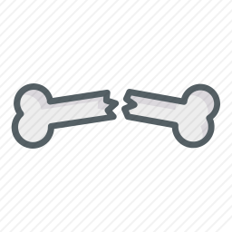 <em>断骨</em>