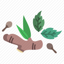草本植物