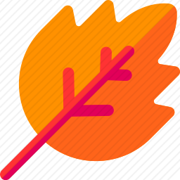 <em>叶子</em>