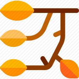 <em>树</em><em>的</em><em>分支</em>
