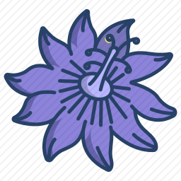 <em>激情</em>