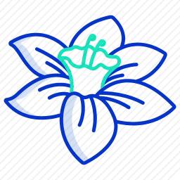 水仙花