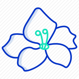唐菖蒲