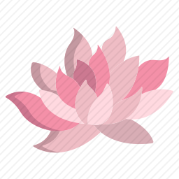 莲花