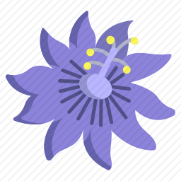 <em>激情</em>