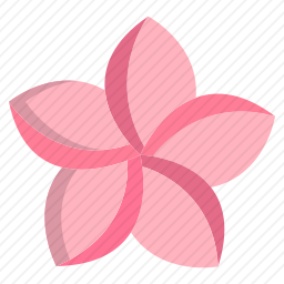 鸡蛋花