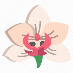 花
