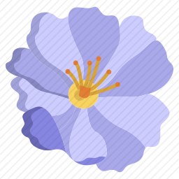 野玫瑰