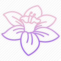水仙花