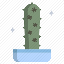 仙人掌