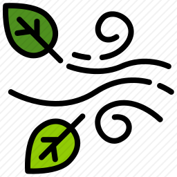 <em>风</em>