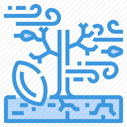 干旱