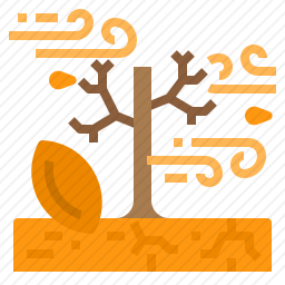 干旱