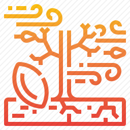 干旱