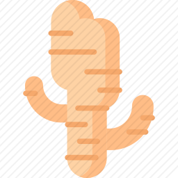 生姜