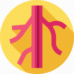 血管