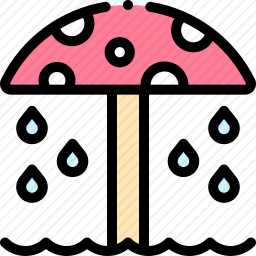 蘑菇<em>淋浴</em>