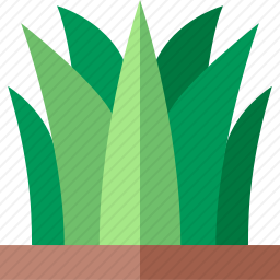 草