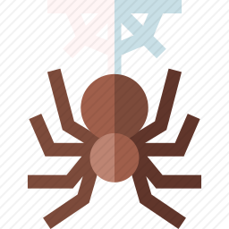 蜘蛛