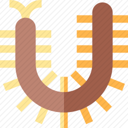 蜈蚣