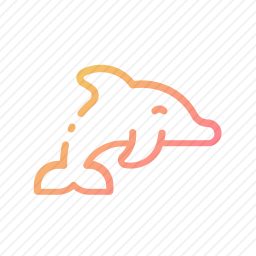 海豚