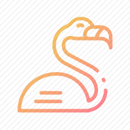 火烈鸟