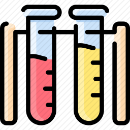 <em>试管</em>