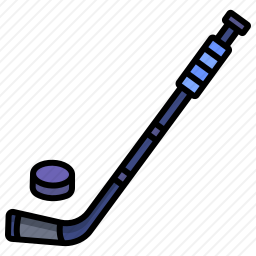 <em>曲棍球</em>
