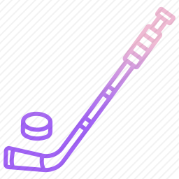 <em>曲棍球</em>